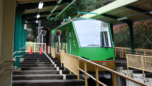 <Web割対象商品>【キングツアーバス旅】錦秋の古社寺めぐり 大山詣りと大雄山最乗寺 ランチバイキング〔聖蹟桜ヶ丘・多摩センター発〕3